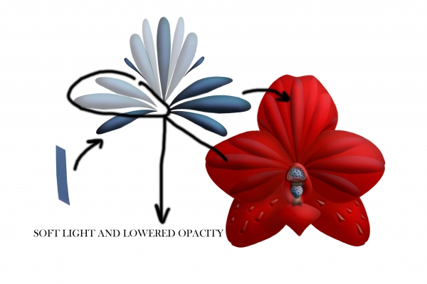 Creation of Plants: Step 3
